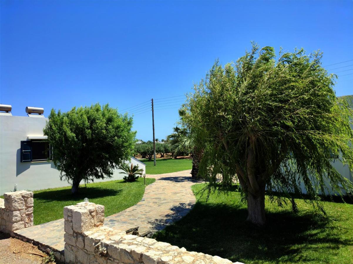 Fotini Apartments Palaikastro Exterior foto